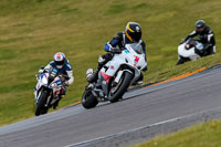 PJ-Motorsport-2019;anglesey-no-limits-trackday;anglesey-photographs;anglesey-trackday-photographs;enduro-digital-images;event-digital-images;eventdigitalimages;no-limits-trackdays;peter-wileman-photography;racing-digital-images;trac-mon;trackday-digital-images;trackday-photos;ty-croes